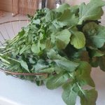 Screenshot_20210809-155435_WhatsApp